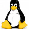 Kali Linux VPN Client? - letzter Beitrag von datr1xa